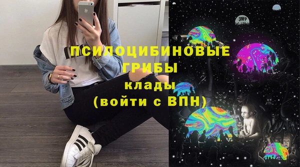 прущий лед Арсеньев