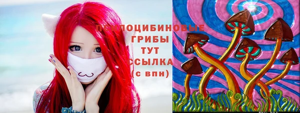 индика Аркадак