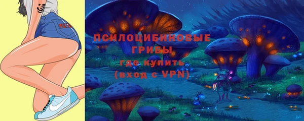 МДПВ Балахна