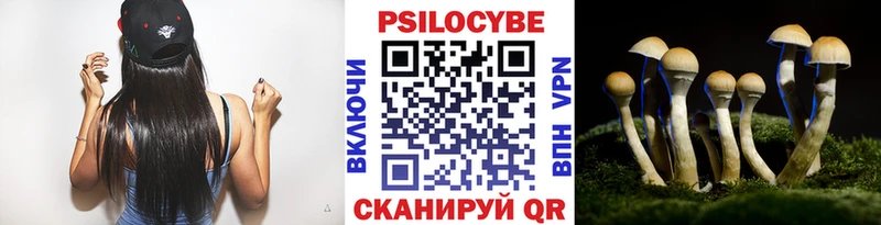 Псилоцибиновые грибы Magic Shrooms  Городище 